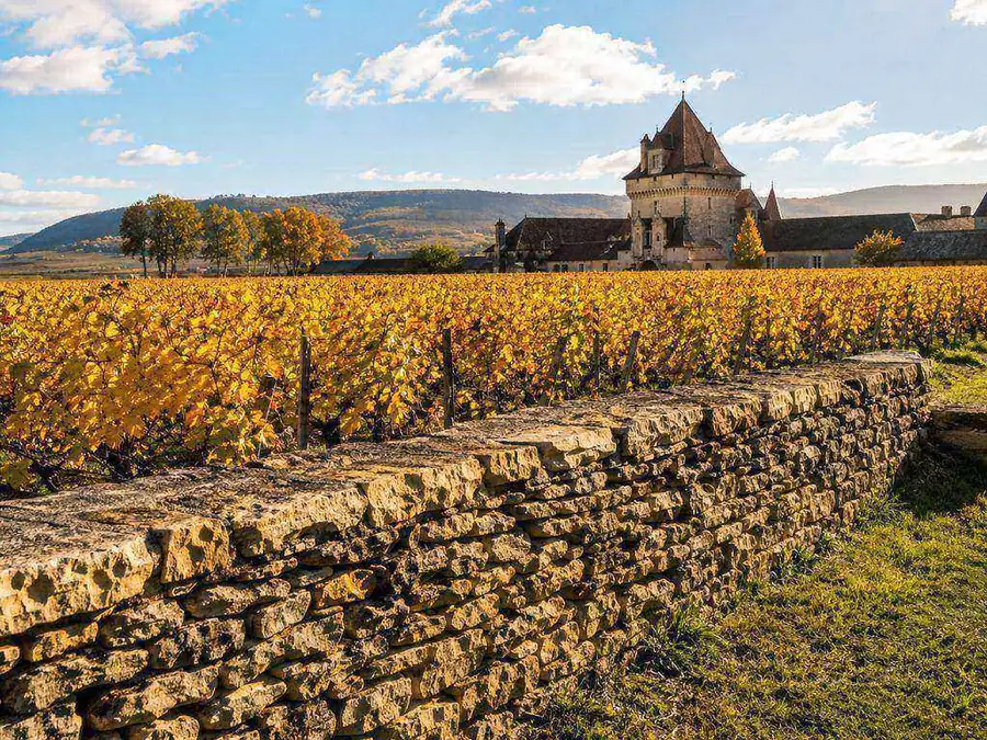 Le mur du clos vu depuis les vignes de la Côte de Nuits